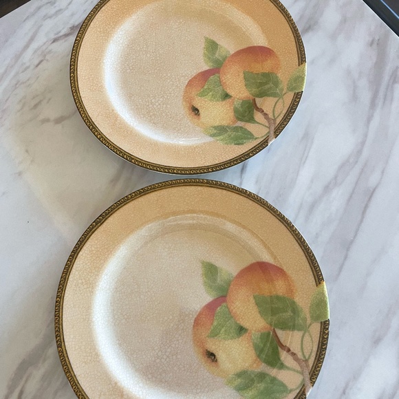 SET OF 2 PTS INTERNATIONAL INTERIORS NEWBURY GENUINE STONEWARE SALAD PLATES - Picture 2 of 8